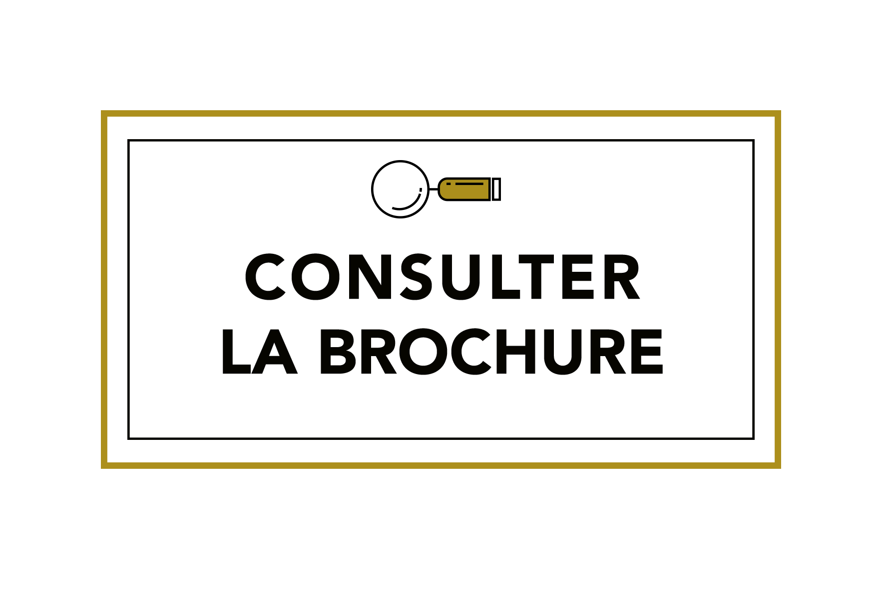 bouton-consulter-brochure.png
